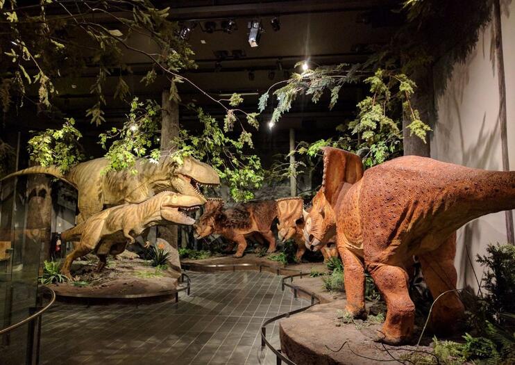 Canadian Museum of Nature